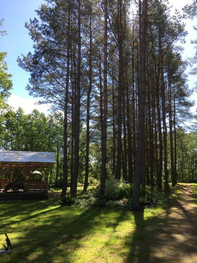 Reinholdi Puhkemaja Villa Jabara Bagian luar foto