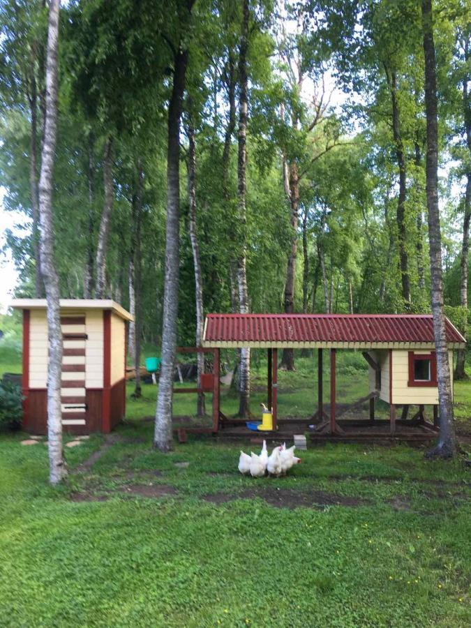 Reinholdi Puhkemaja Villa Jabara Bagian luar foto