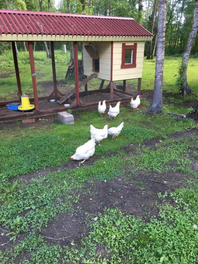 Reinholdi Puhkemaja Villa Jabara Bagian luar foto